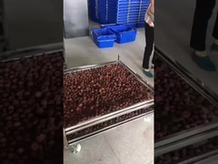 सूखने के लिए स्टेनलेस स्टील के तार जाल ट्रॉली