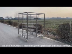 अनुकूलित आकार स्टेनलेस स्टील ट्रे रैक ट्रॉली