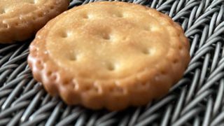 स्टेनलेस स्टील 304 धातु गर्मी प्रतिरोधी उच्च तापमान बेकरी कन्वेयर हेरिंगबोन वायर मेष बिस्क