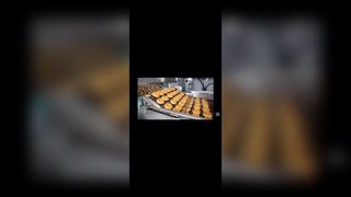 चॉकलेट एनरोब के लिए स्टेनलेस स्टील पिज्जा ओवन सीढ़ी चेन लिंक कन्वेयर फ्लैट वायर मेष फ्लेक्स बेल्ट,