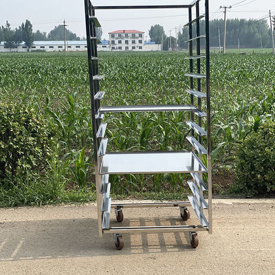 अच्छी कीमत घूमने के लिए 600x400 स्टेनलेस स्टील कूलिंग ड्राईिंग बेकिंग मेश ट्रे बेकरी ट्रॉली कार्ट ऑनलाइन